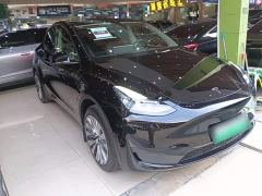 Tesla Model Y Rear-Wheel Drive - photo 3