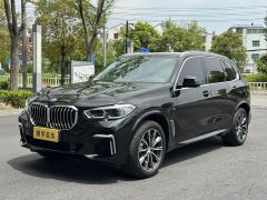BMW X5 xDrive 30Li M Sport Package - ფოტო 1
