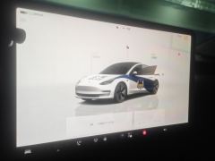 Tesla Model 3 556km Rear-Wheel Drive Edition - ფოტო 14