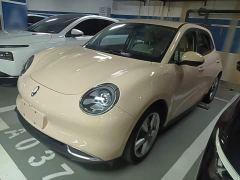 ORA Good Cat 401km Standard Range Deluxe LFP - ფოტო 1