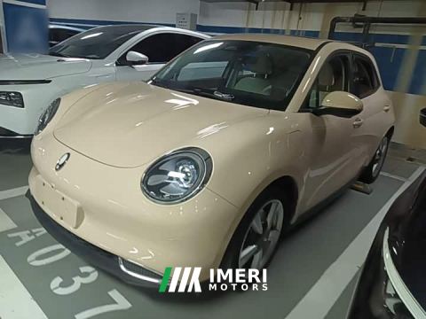 2023 ORA Good Cat 401km Standard Range Deluxe LFP - автомобиль из Китая