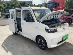 Wuling Zhiguang New Energy 201km Comfort - photo 3