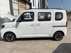 Wuling Zhiguang New Energy 201km Comfort - photo 5