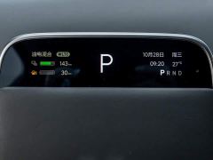 Li Auto L9 Max - ფოტო 19