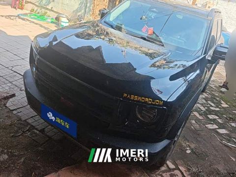 2024 Great Wall Dachshund 1.5T DCT Border Collie Edition - автомобиль из Китая