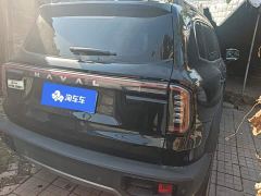 Great Wall Dachshund 1.5T DCT Border Collie Edition - ფოტო 3