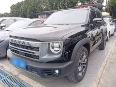 Great Wall Dachshund 1.5T DCT Border Collie Edition - ფოტო 1