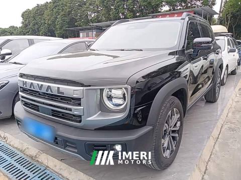 2024 Great Wall Dachshund 1.5T DCT Border Collie Edition - автомобиль из Китая