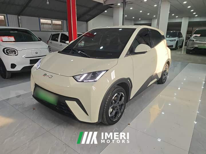 BYD Seagull 305km Freedom Edition - ავტომობილი ჩინეთიდან