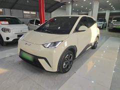 BYD Seagull 305km Freedom Edition - ფოტო 1