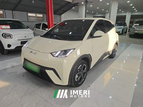 2024 BYD Seagull 305km Freedom Edition - автомобиль из Китая