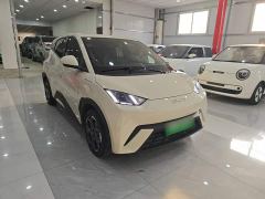BYD Seagull 305km Freedom Edition - ფოტო 5