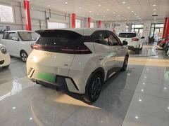 BYD Seagull 305km Freedom Edition - ფოტო 6