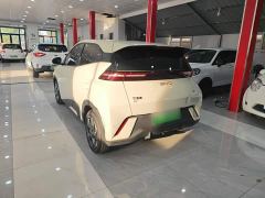 BYD Seagull 305km Freedom Edition - ფოტო 9