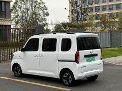 Wuling Zhiguang New Energy 305km Aspiring Edition - ფოტო 18