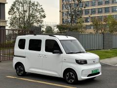 Wuling Zhiguang New Energy 305km Aspiring Edition - ფოტო 3