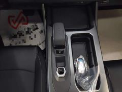 Geely Radar Goldhand 430km 2WD Standard Bed Prosperity King Kong - photo 13