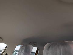 Geely Radar Goldhand 430km 2WD Standard Bed Prosperity King Kong - photo 17
