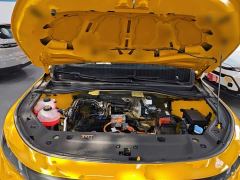 Geely Radar Goldhand 430km 2WD Standard Bed Prosperity King Kong - photo 19
