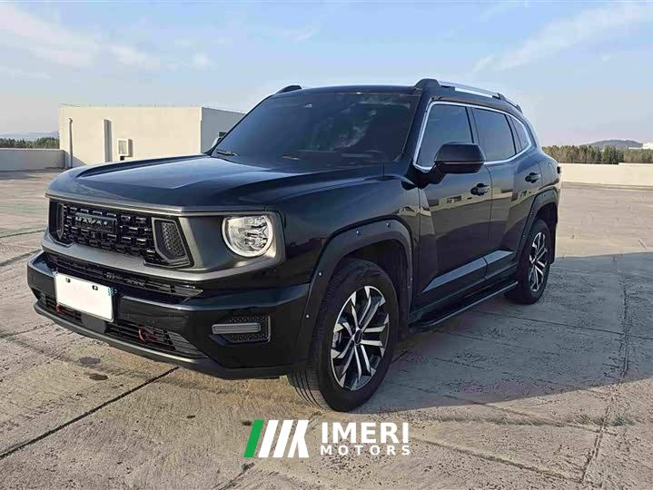 Haval Big Dog PLUS 2.0T Two-Wheel Drive Trendy Wilderness Edition - car from China