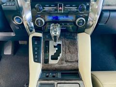 Toyota Alphard Hybrid 2.5L Premium Edition - photo 17