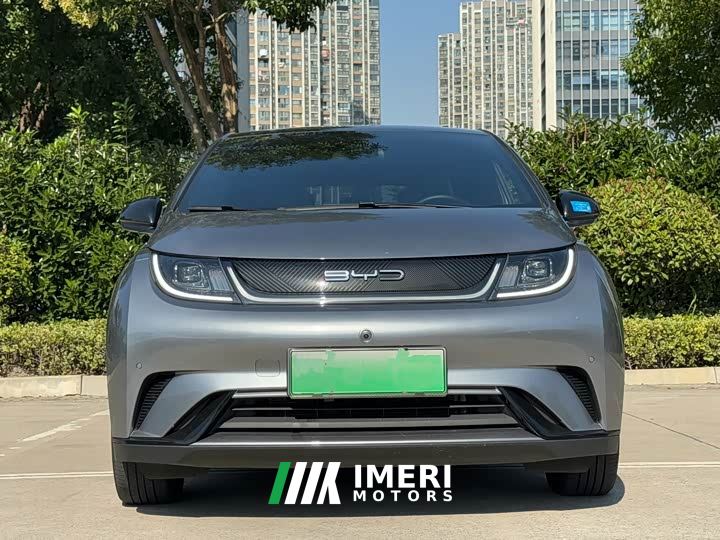BYD Dolphin 420km Fashion Edition - ავტომობილი ჩინეთიდან