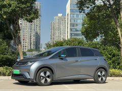 BYD Dolphin 420km Fashion Edition - ფოტო 2