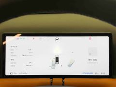 Xpeng G9 702 Max - ფოტო 11
