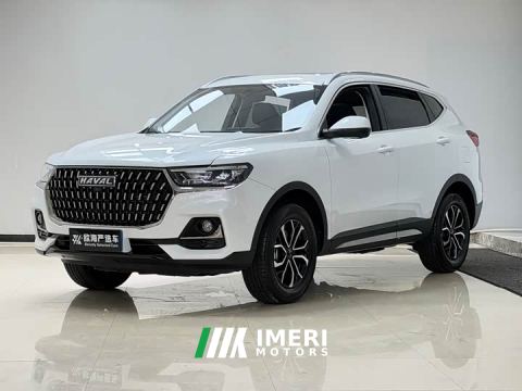 2023 Haval H6 National Trend Edition 1.5T Automatic Urban Version - ავტომობილი ჩინეთიდან