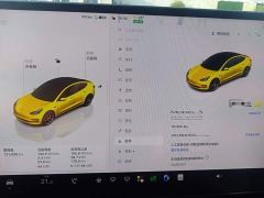Tesla Model 3 Performance All-Wheel Drive - ფოტო 11