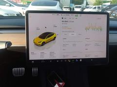 Tesla Model 3 Performance All-Wheel Drive - ფოტო 12