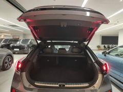 Zeekr 001 YOU Edition 100kWh AWD - фото 18