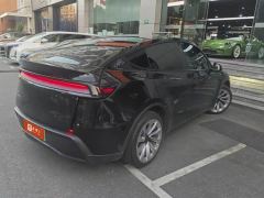 Tesla Model Y Long Range All-Wheel Drive Launch Edition - ფოტო 3