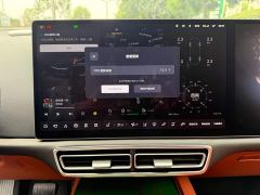 Li Auto L9 Pro - ფოტო 9