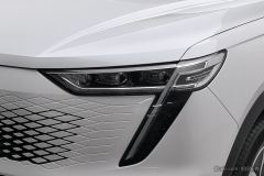 Haval MAX PHEV 1.5L 105km AWDFlagship Edition - ფოტო 5