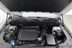 Haval MAX PHEV 1.5L 105km AWDFlagship Edition - ფოტო 7