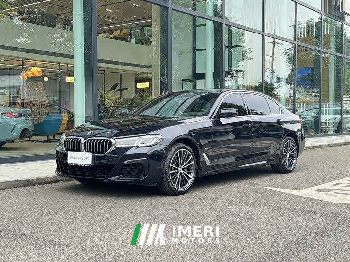 BMW 5 Series 530Li Premier M Sport Package - автомобиль из Китая