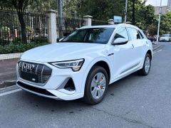 Audi e-tron 2021 50 quattro Premium - photo 1
