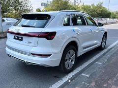 Audi e-tron 2021 50 quattro Premium - photo 5