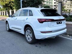 Audi e-tron 2021 50 quattro Premium - photo 7