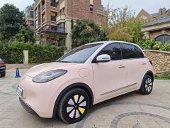 Wuling Binguo 410km Lingxi Premium Edition - фото 1