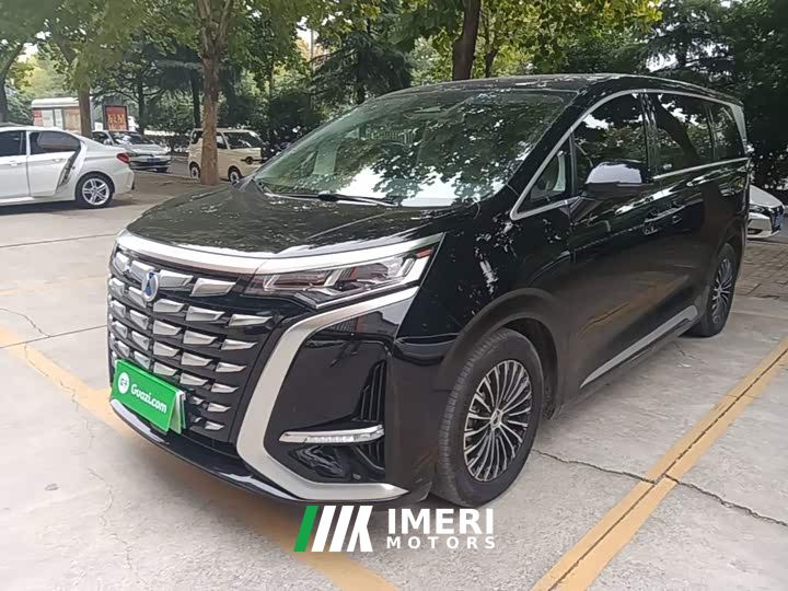 Denza D9 DM-i 980 AWD Luxury - car from China
