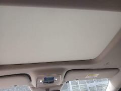 Denza D9 DM-i 980 AWD Luxury - photo 17