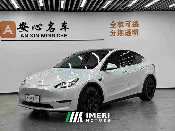 Tesla Model Y Long Range All-Wheel Drive - car from China