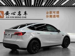 Tesla Model Y Long Range All-Wheel Drive - photo 3