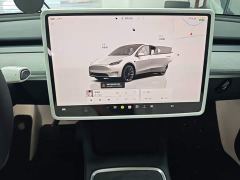Tesla Model Y Rear-Wheel Drive - фото 12