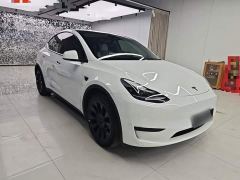 Tesla Model Y Rear-Wheel Drive - фото 3