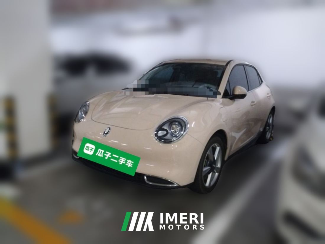 Ora Great Wall Good Cat 401km Luxury Edition - ავტომობილი ჩინეთიდან