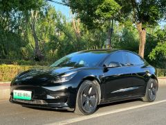 Tesla Model 3 556km Rear-Wheel Drive Edition - photo 1