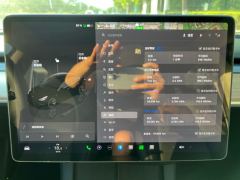 Tesla Model 3 556km Rear-Wheel Drive Edition - photo 16